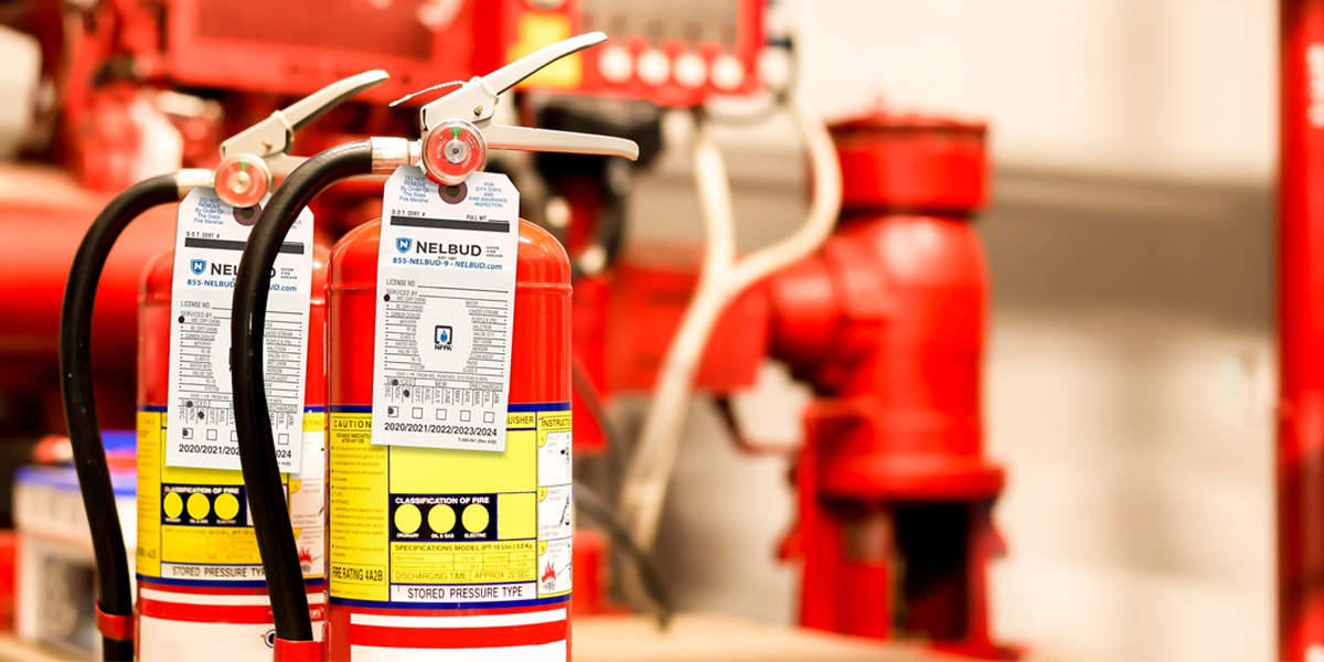 Fire Protection and Inspection Services from Nelbud